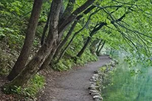 Footpath along Milanovac Jezero (Lake), Plitvice National Park, Croatia