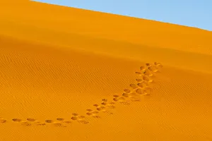 Footprint Prints: Footprints on red sand dune in southern Namib Desert