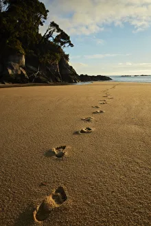Shoreline Prints: Footprints in the sand, Mosquito Bay