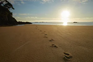 Tasman Bay Prints: Footprints in the sand at sunrise, Mosquito Bay, Abel Tasman National Park, Nelson Region