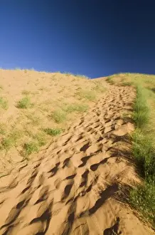 Foot Step Prints: Footsteps Lead Up to the Dunes, Coral Pink Sand Dunes State Park, Utah, US
