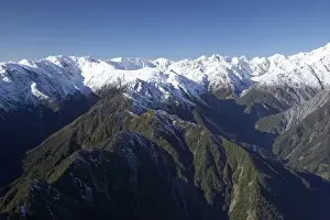 Te Poutini National Park Prints: Forest Burster Range (centre) and Southern Alps nesr Franz Josef Glacier, West Coast