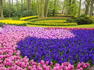 Forest and flowers in the Keukenhof Gardens