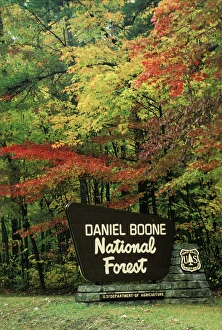 National Prints: Forest service sign for Daniel Boone National Forest, Red River Gorge, Kentucky