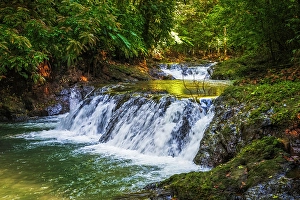 Prints of Forest stream in Corcovado National Park, Puntarenas Province, Costa Rica Images Dated 2024 October: Forest stream in Corcovado National Park, Puntarenas Province, Costa Rica