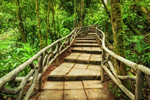 Costa Rica Prints: Forest trail at La Paz Waterfall Gardens