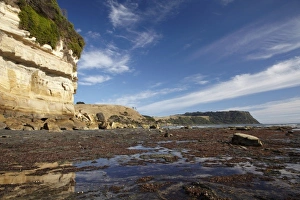 Fossil Bluff, Wynyard, North Western Tasmania, Australia