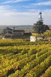 Images Dated 30th October 2010: France, Aquitaine Region, Gironde Department, St-Emilion, wine town, UNESCO-listed