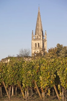 Images Dated 30th October 2010: France, Aquitaine Region, Gironde Department, St-Emilion, wine town, vineyard view