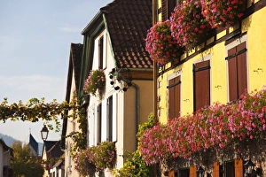 Images Dated 10th October 2010: France, Bas-Rhin, Alsace Region, Alsatian Wine Route, Itterswiller, wine town buildings