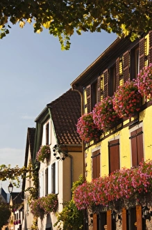 Images Dated 10th October 2010: France, Bas-Rhin, Alsace Region, Alsatian Wine Route, Itterswiller, wine town buildings