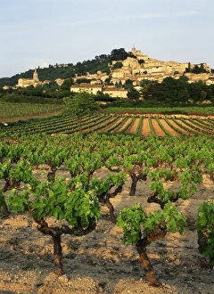 Clear Sky Prints: France, Bonnieux, Vaucluse, Luberon, View of Provence vineyard