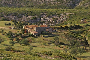 FRANCE, Bouches-du-Rhone Cassis