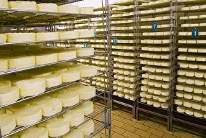 Images Dated 16th May 2007: France, Briouze, Gillot Dairy, production of camembert cheese, drying room