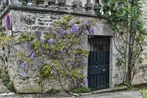 Architecture Collection: France, Cajarc. Wisteria covered stone wall and doorway