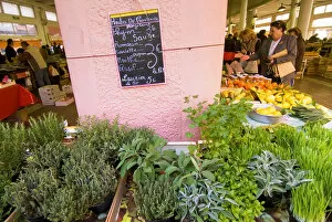 Images Dated 2nd March 2007: France, Cannes, market of Forville, Selling herbs