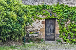 Tarn Prints: France, Cordes-sur-Ciel. Wooden doorway in vine covered stone wall