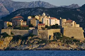Images Dated 16th June 2008: France, Corsica. Buildings of the old city at Calvi within the walls of the historic