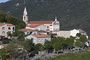France, Corsica, Corse-du-Sud Department, Corsica South Coast Region, Le Satenais Area