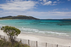 Images Dated 14th May 2012: France, Corsica, Corse-du-Sud Department, Corsica South Coast Region, Porto Vecchio-area