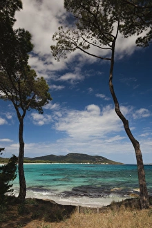Images Dated 14th May 2012: France, Corsica, Corse-du-Sud Department, Corsica South Coast Region, Porto Vecchio-area