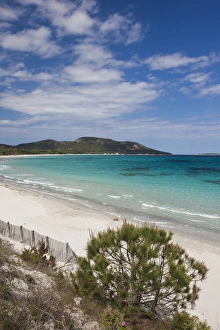France, Corsica, Corse-du-Sud Department, Corsica South Coast Region, Porto Vecchio-area