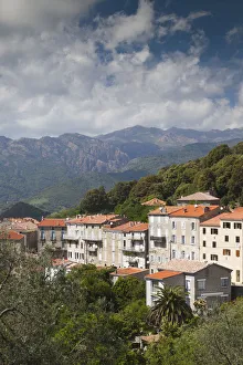 Images Dated 15th May 2012: France, Corsica, Corse-du-Sud Department, La Alta Rocca Region, Ste-Lucie de Tallano