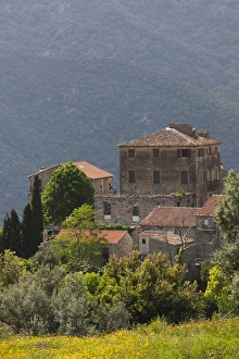 Images Dated 15th May 2012: France, Corsica, Corse-du-Sud Department, La Alta Rocca Region, Ste-Lucie de Tallano