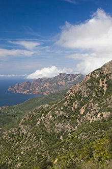 Images Dated 8th May 2012: France, Corsica, Corse-du-Sud Department