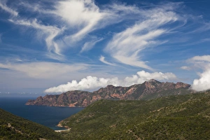 Images Dated 8th May 2012: France, Corsica, Corse-du-Sud Department