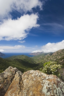 Images Dated 8th May 2012: France, Corsica, Corse-du-Sud Department