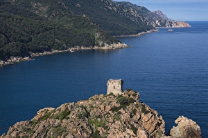 Images Dated 9th May 2012: France, Corsica, Corse-du-Sud Department, Calanche Region, Porto, elevated view of