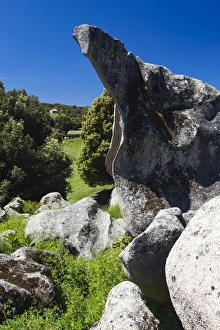 Images Dated 11th May 2012: France, Corsica, Corse-du-Sud Department
