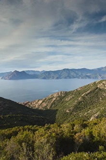 Images Dated 8th May 2012: France, Corsica, Corse-du-Sud Department, Calanche Region, Piana, elevated view of