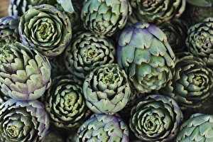 Images Dated 10th May 2012: France, Corsica, Corse-du-Sud Department, Corsica West Coast Region, Ajaccio, Place