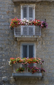 Corsica Prints: France, Corsica. Flower boxes on window balconies. House in Sartene