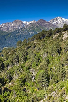 Images Dated 17th May 2012: France, Corsica, Haute-Corse Department, Central Mountains Region, Ghisoni, mountain view