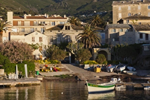 France, Corsica, Haute-Corse Department, Le Cap Corse, Erbalunga, port view, dawn