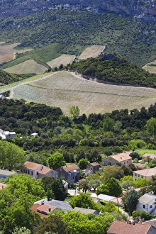 Images Dated 3rd May 2012: France, Corsica, Haute-Corse Department, Le Cap Corse, Patrimonio, elevated town view