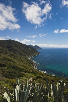 Images Dated 2nd May 2012: France, Corsica, Haute-Corse Department, Le Cap Corse, Morsiglia, elevated costal view