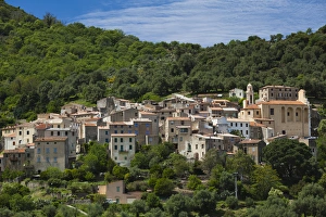 Images Dated 5th May 2012: France, Corsica, Haute-Corse Department, La Balagne Region, Avapessa, elevated town view