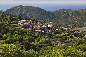 Images Dated 7th May 2012: France, Corsica, Haute-Corse Department, La Balagne Region, Lavatoggio, elevated
