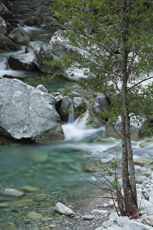 France, Corsica, Haute-Corse Department, Central Mountains Region, Corte-area, Gorges