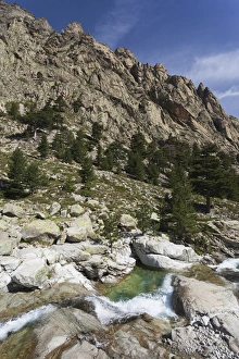 Images Dated 18th May 2012: France, Corsica, Haute-Corse Department, Central Mountains Region, Corte-area, Gorges