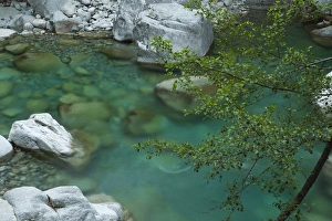 Images Dated 18th May 2012: France, Corsica, Haute-Corse Department, Central Mountains Region, Corte-area, Gorges