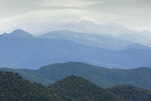 France, Corsica, Haute-Corse Department, Central Mountains Region, Le Bozio Area