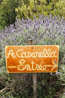 France, Corsica, Haute-Corse Department, La Balagne Region, Pigna, artisanal village