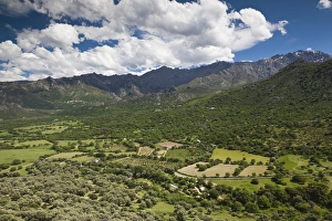 Images Dated 5th May 2012: France, Corsica, Haute-Corse Department, La Balagne Region, Avapessa, elevated view