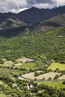 Images Dated 5th May 2012: France, Corsica, Haute-Corse Department, La Balagne Region, Avapessa, elevated view