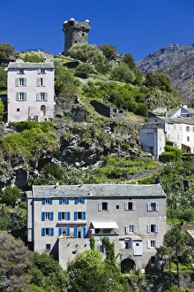 Images Dated 3rd May 2012: France, Corsica, Haute-Corse Department, Le Cap Corse, Nonza, elevated town view